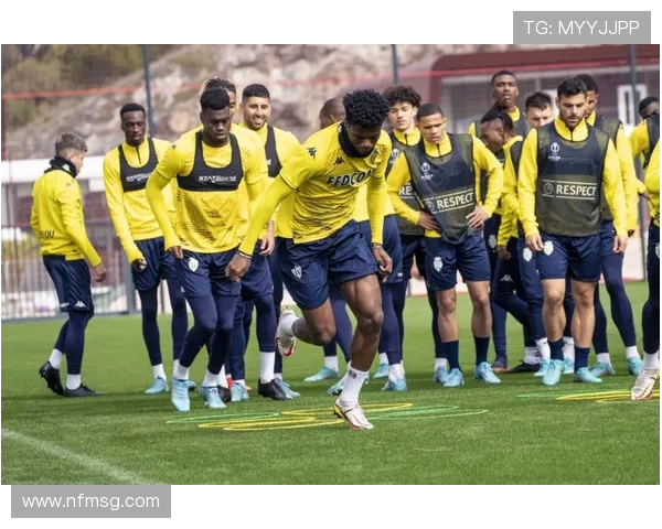 法甲球员2024-2025赛季伤病数据统计与分析